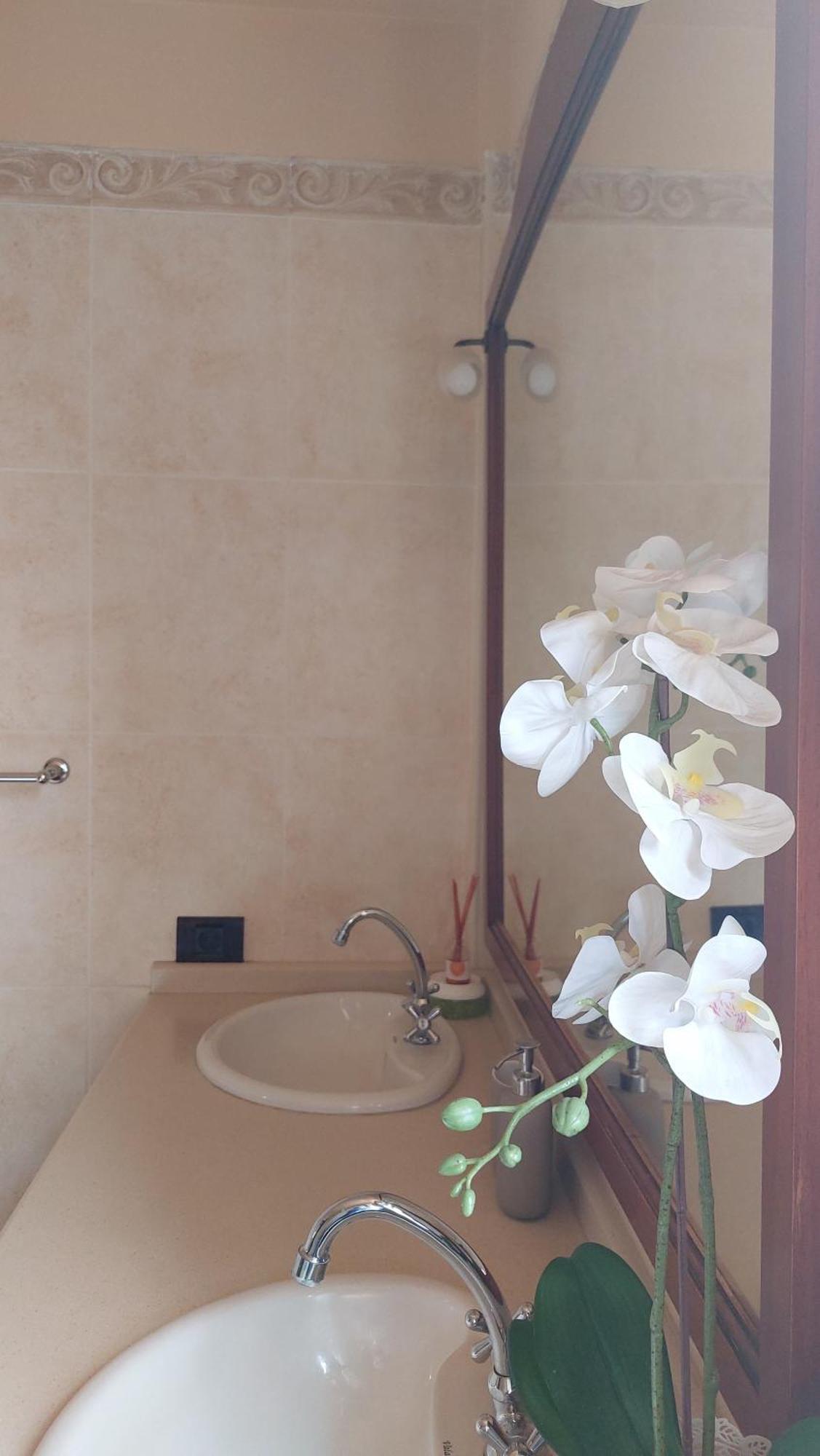 Chalet Anagato Tegueste Dış mekan fotoğraf